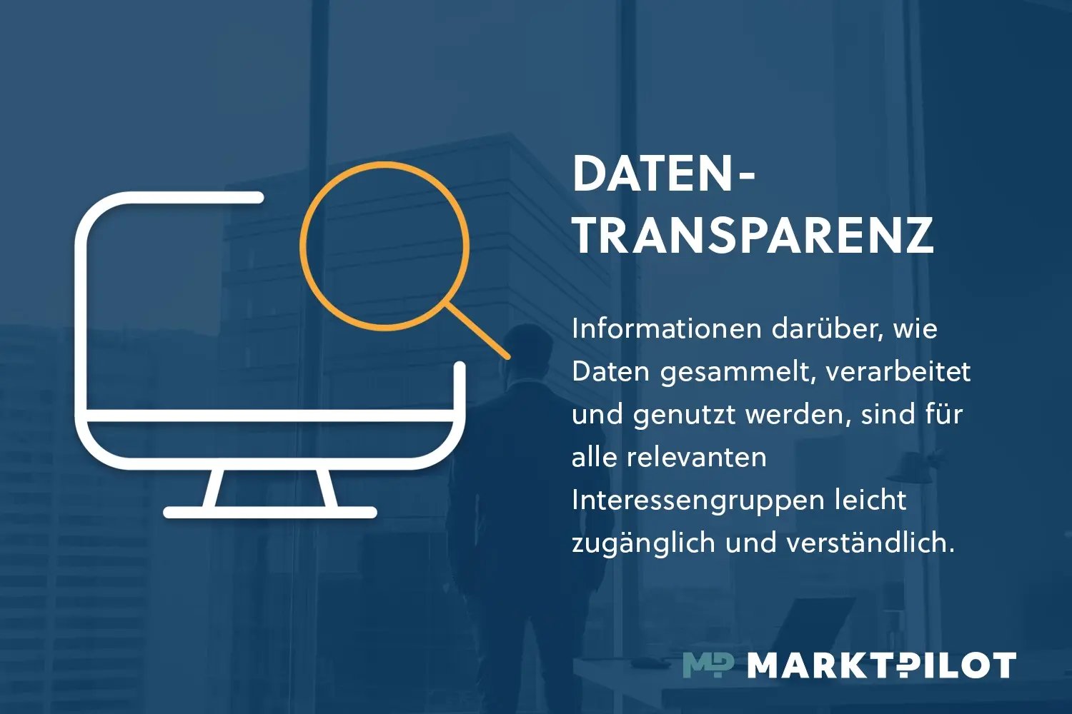 Data Transparency Definition DE