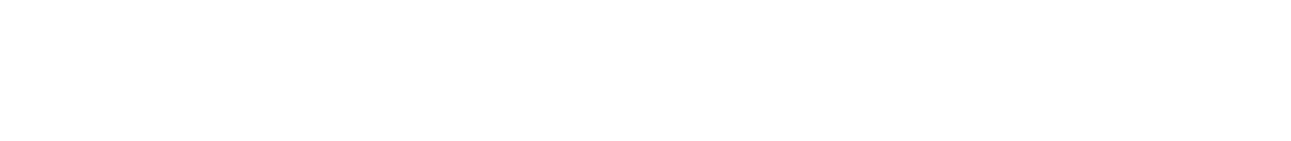 Logo DIEFFENBACHER white