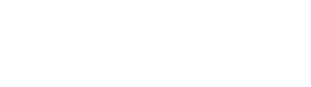 Logo OPTIMA white